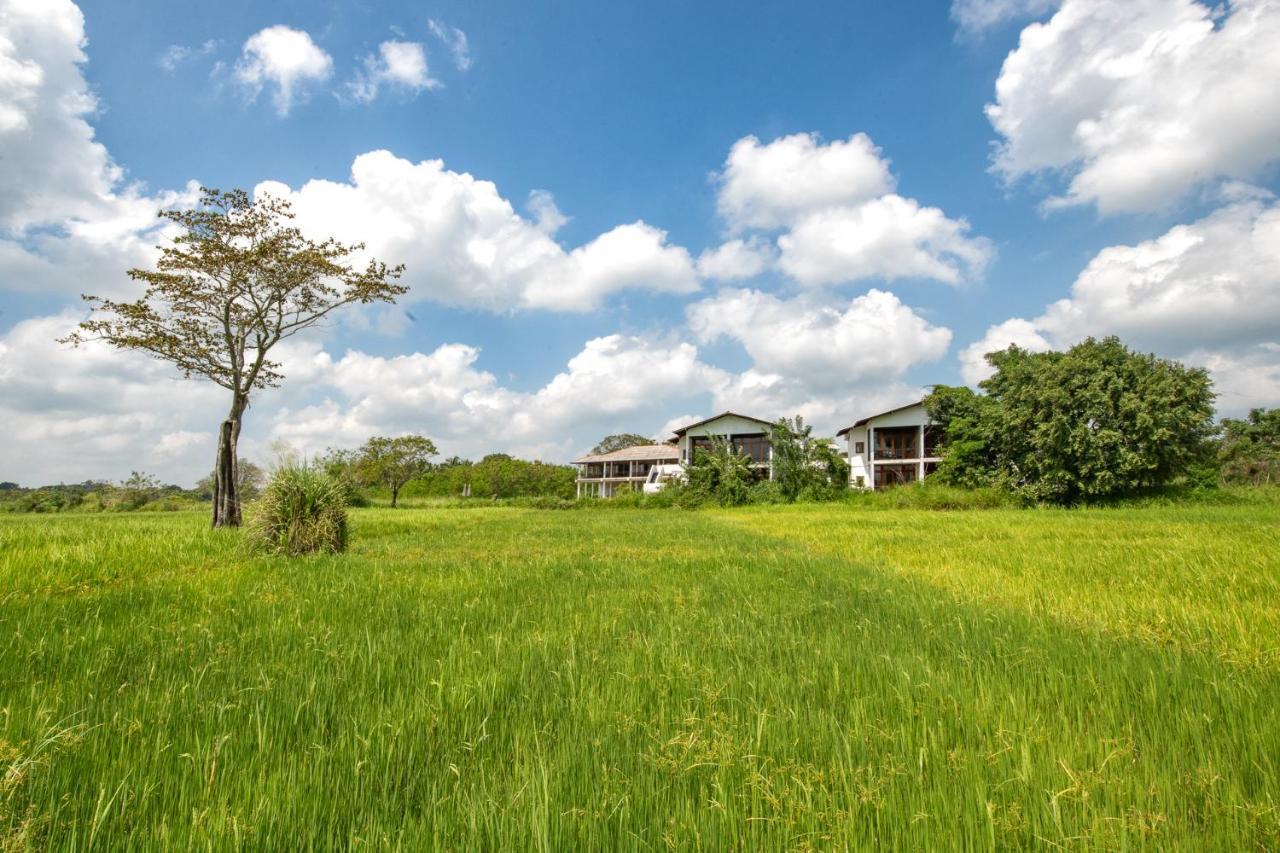 Ceylon Breeze Sigiriya Hotel ภายนอก รูปภาพ